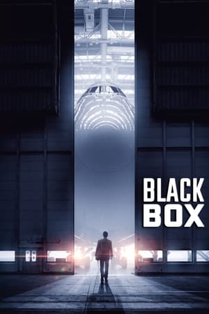 Boxed 2021 Hindi Movie [890MB]