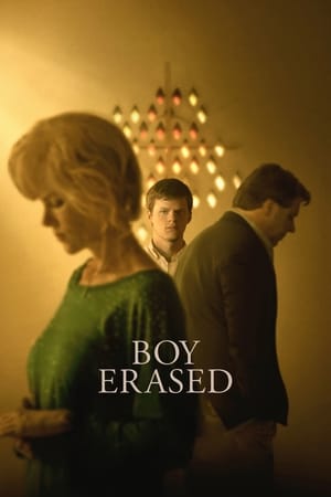 Boy Erased (2018) Hindi Dual Audio [900MB]
