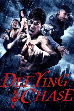 Defying Chase (2018) Hindi Dual Audio 350MB