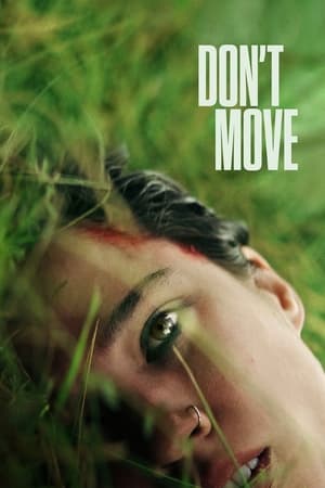 Dont Move 2024 Hindi ORG Dual Audio – 480p – 1080p