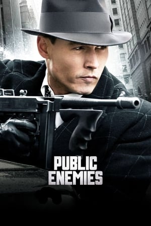 Public Enemies (2009) Hindi Dual Audio Movie - 1.1GB