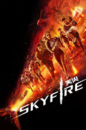 Skyfire 2019 Hindi Dual Audio [800MB]