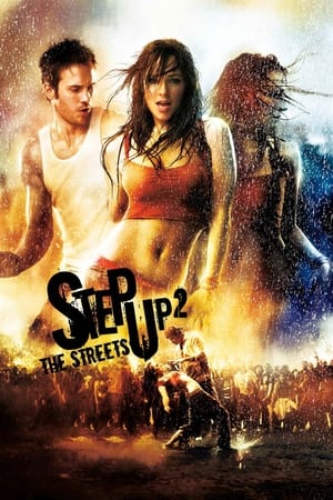 Step Up 2 The Streets 2008 Hindi Dual Audio [700MB]