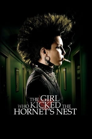 The Girl Who Kicked the Hornet's Nest (2009) Hindi Dual Audio [1.2GB]