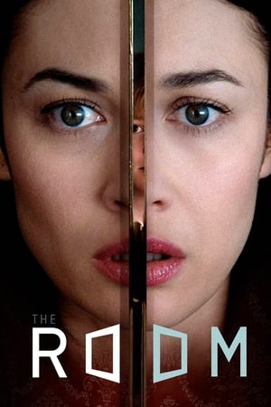 The Room 2019 Hindi Dual Audio 300MB