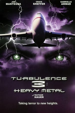 Turbulence 3 Heavy Metal 2001 Hindi Dual Audio 300MB