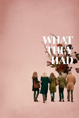 What They Had (2018) Hindi Dual Audio 350MB